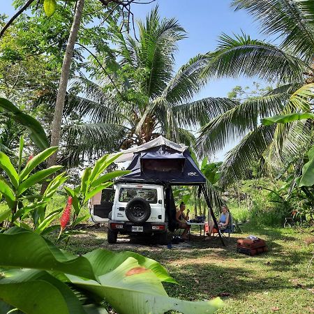 La Munequita Lodge 1 - Culture & Nature Experience Palmar Norte Exteriér fotografie