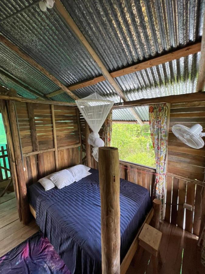 La Munequita Lodge 1 - Culture & Nature Experience Palmar Norte Exteriér fotografie